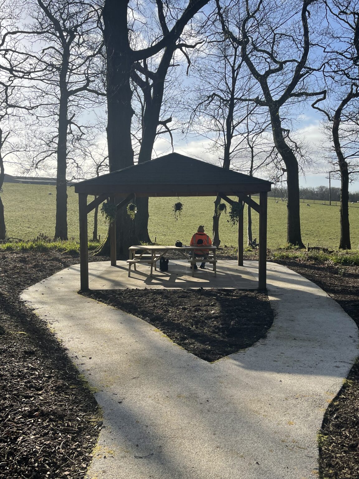 Woodland Walk